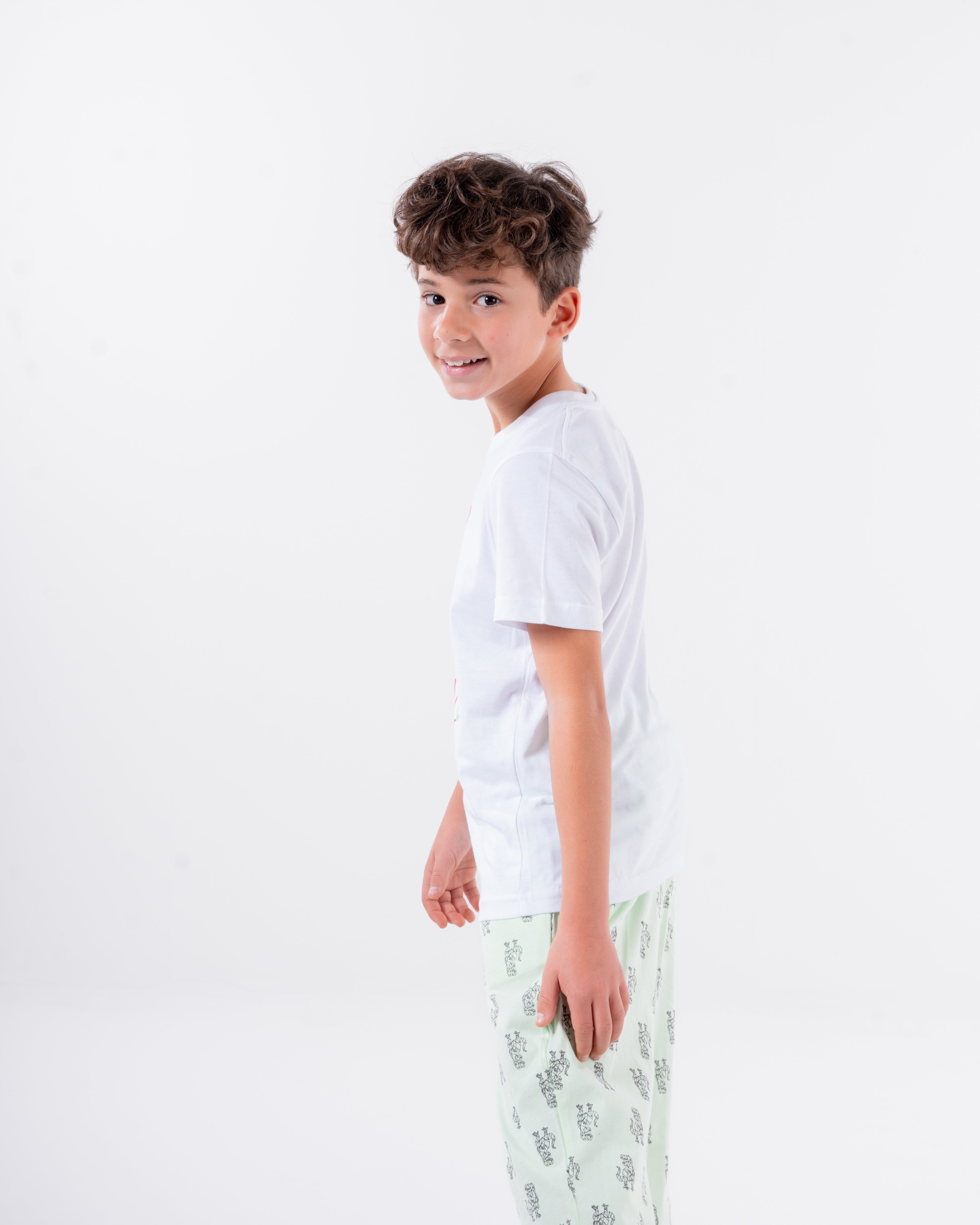 Boys Printed Short Sleeves Pyjama