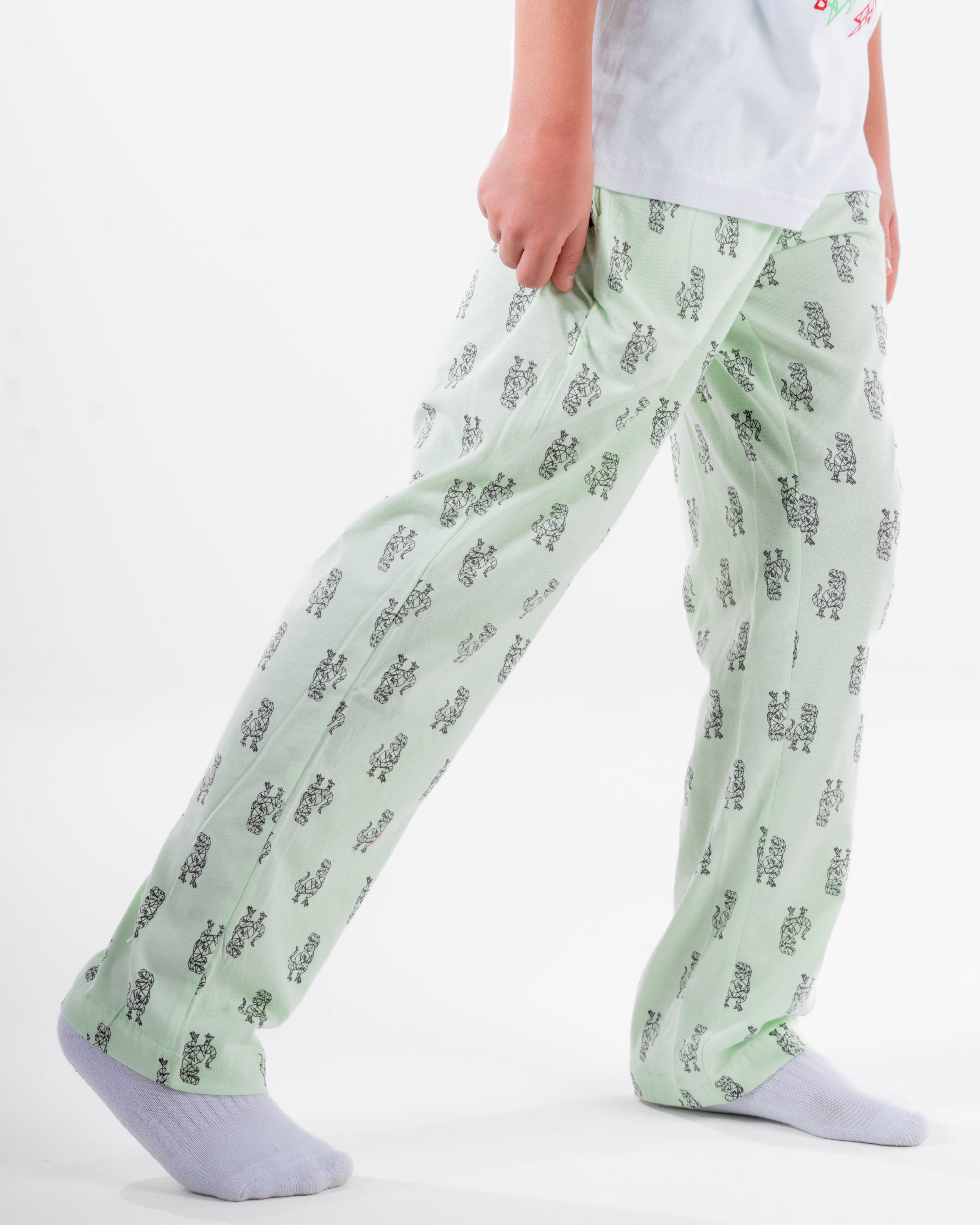 Boys Printed Short Sleeves Pyjama