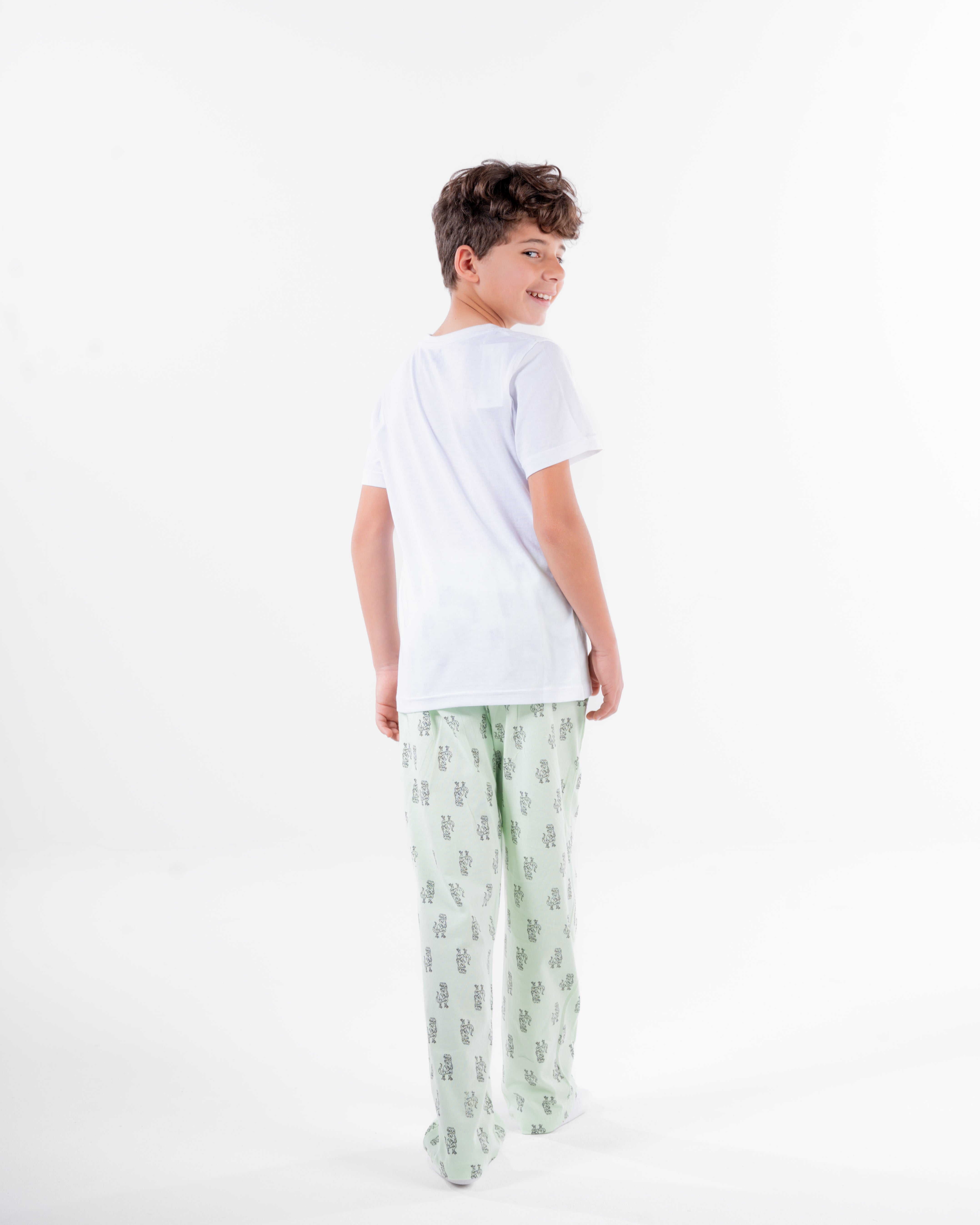 Boys Printed Short Sleeves Pyjama