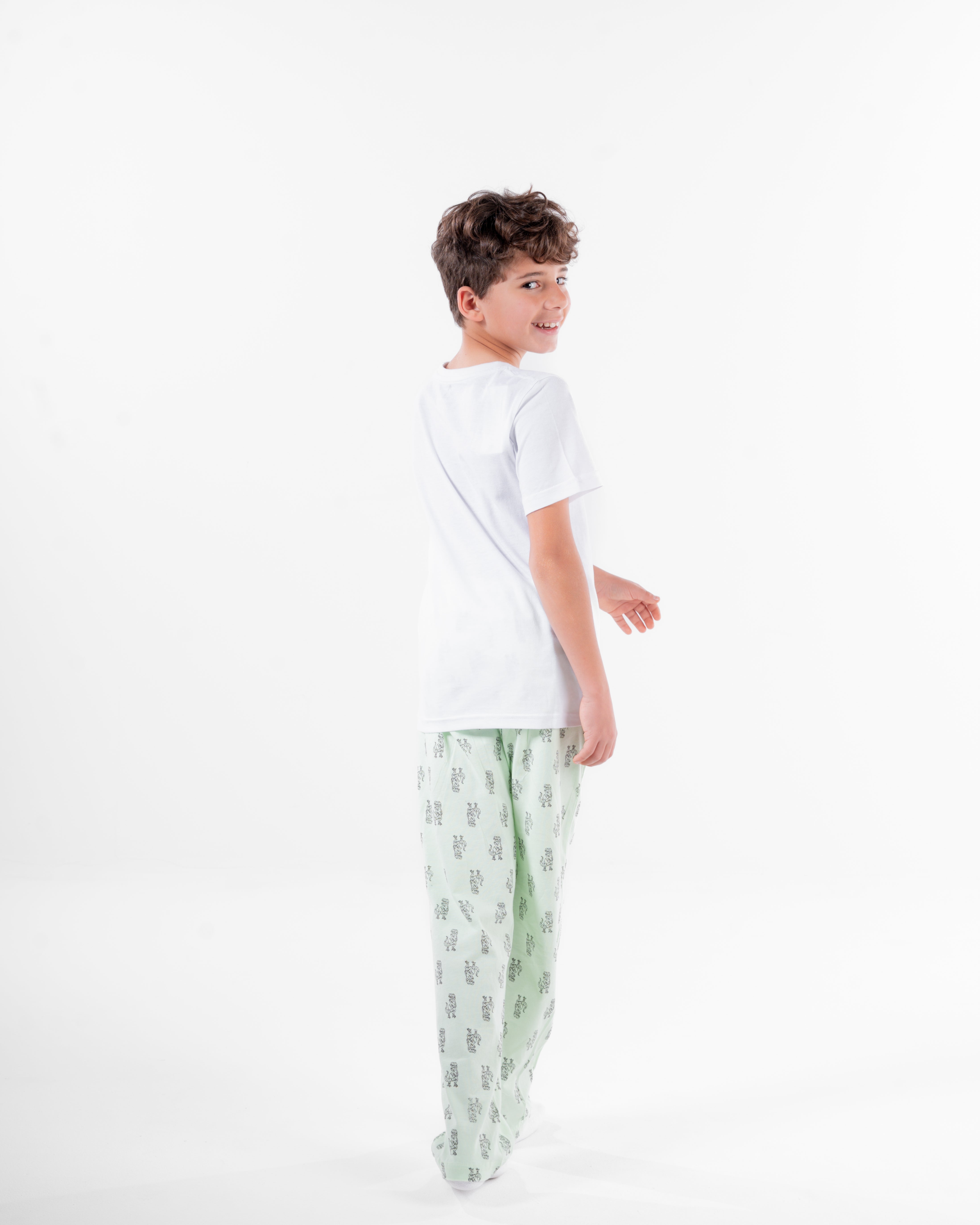 Boys Printed Short Sleeves Pyjama