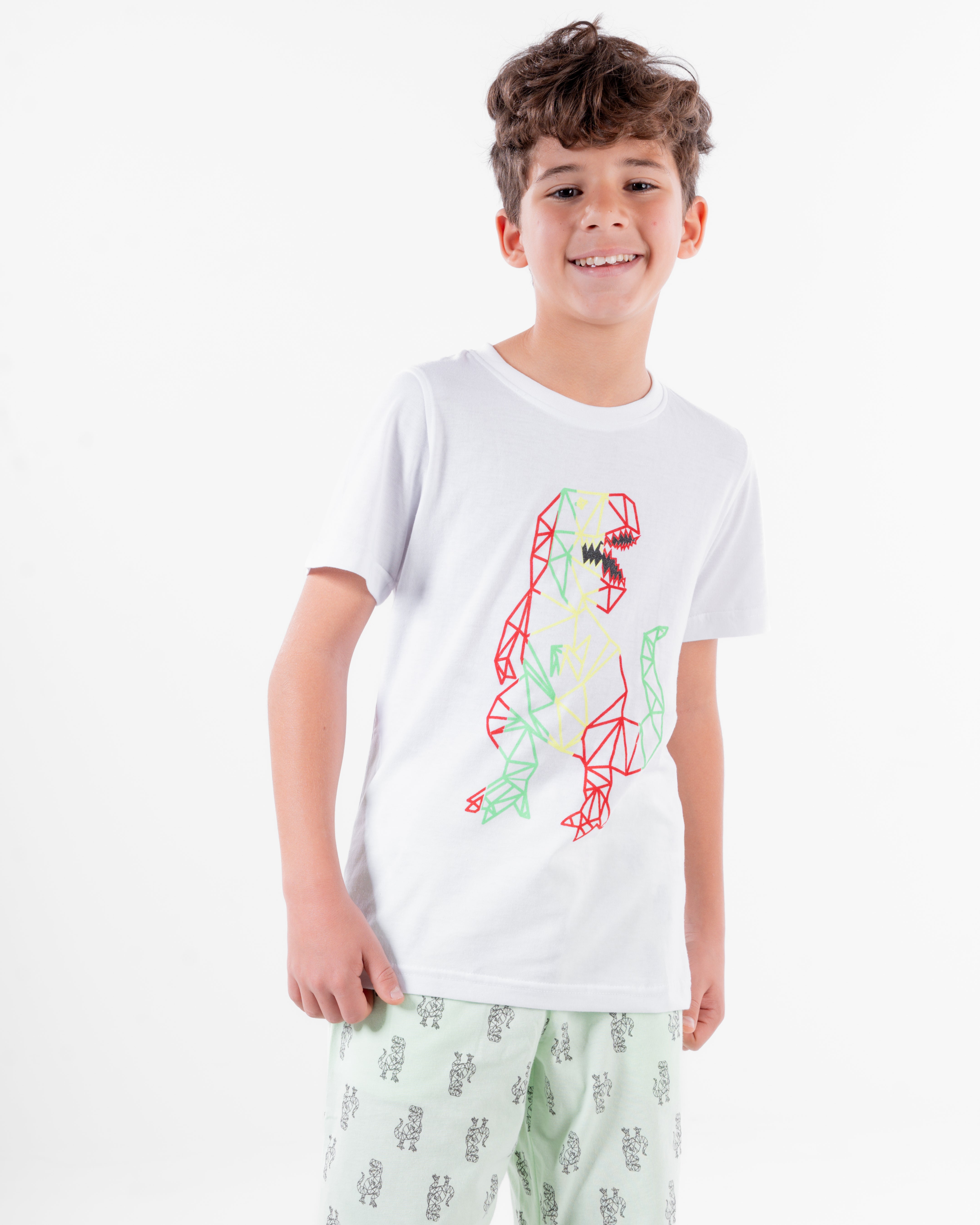 Boys Printed Short Sleeves Pyjama