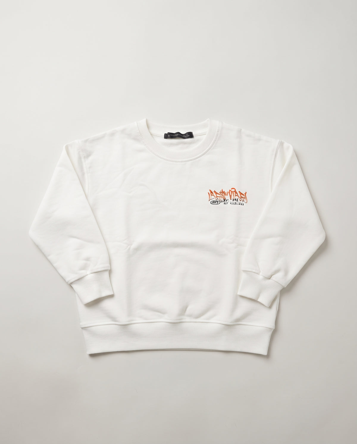 Boys Printed Sweatshirt Round Neck