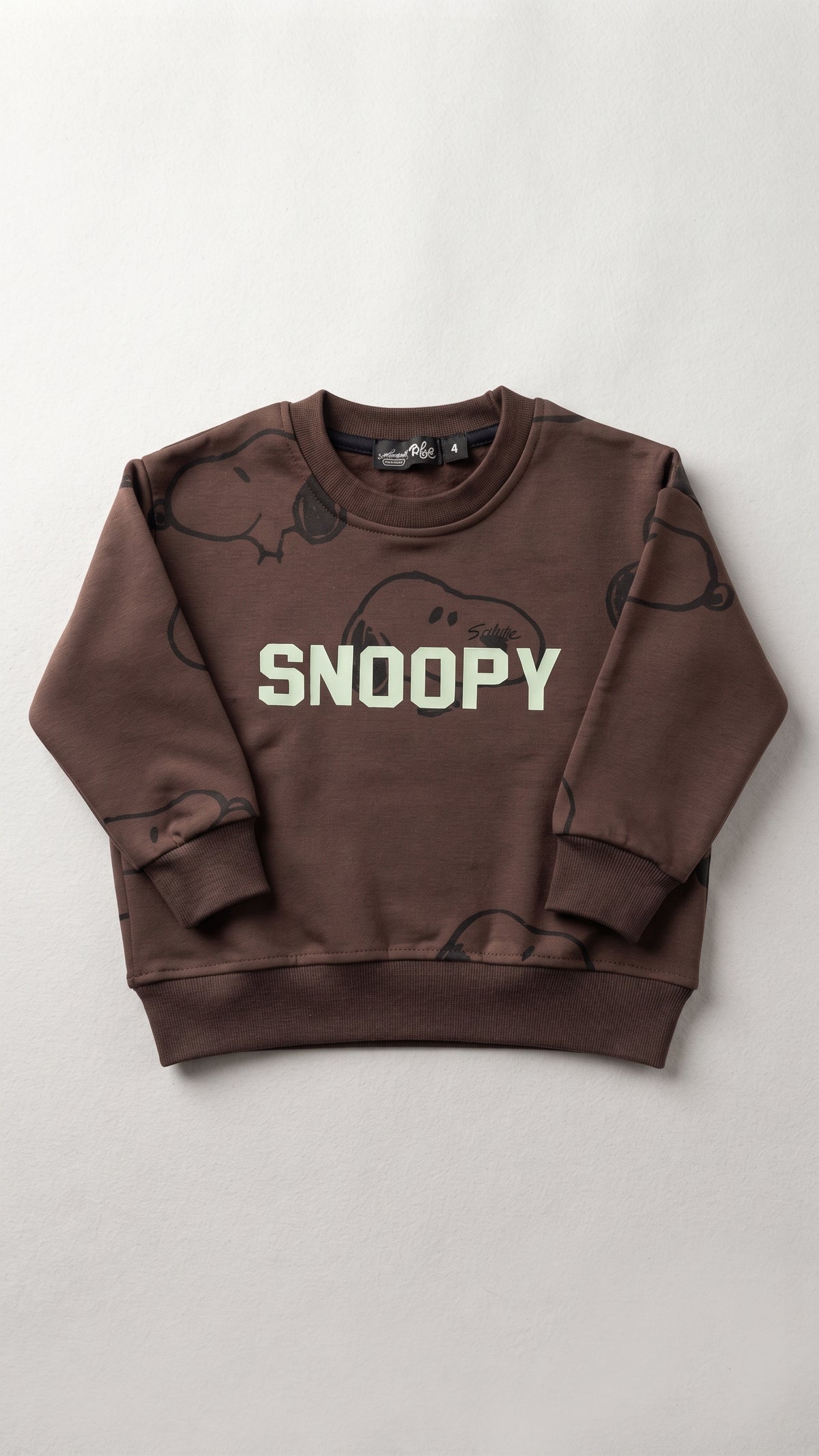 Boys Printed Snoopy Sweatshirt