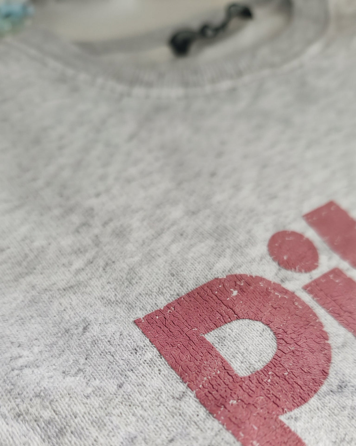 Women Printed Sweatshirt