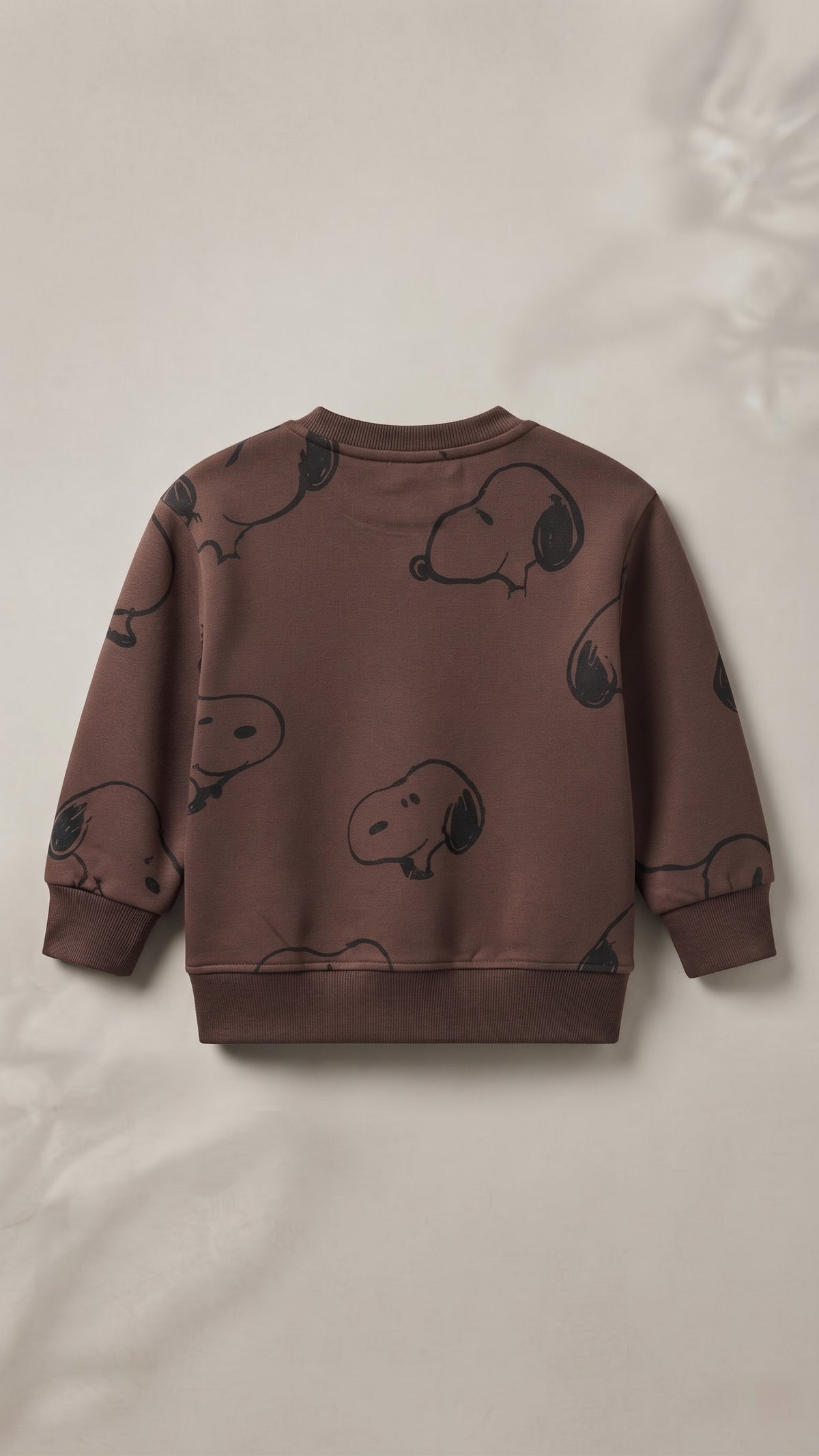 Boys Printed Snoopy Sweatshirt