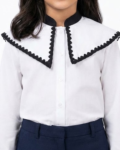 Girls Embroidered Long Sleeves Blouse