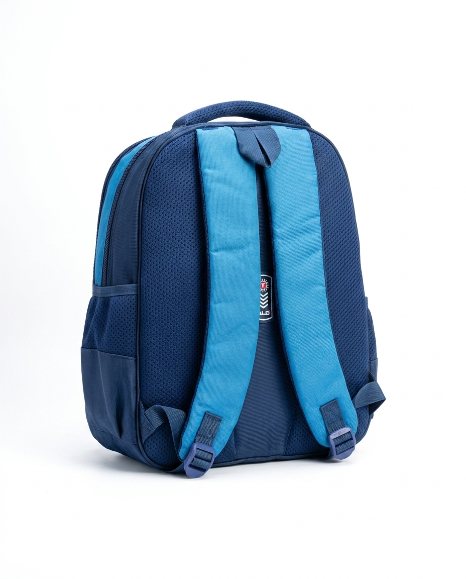 School Backpack