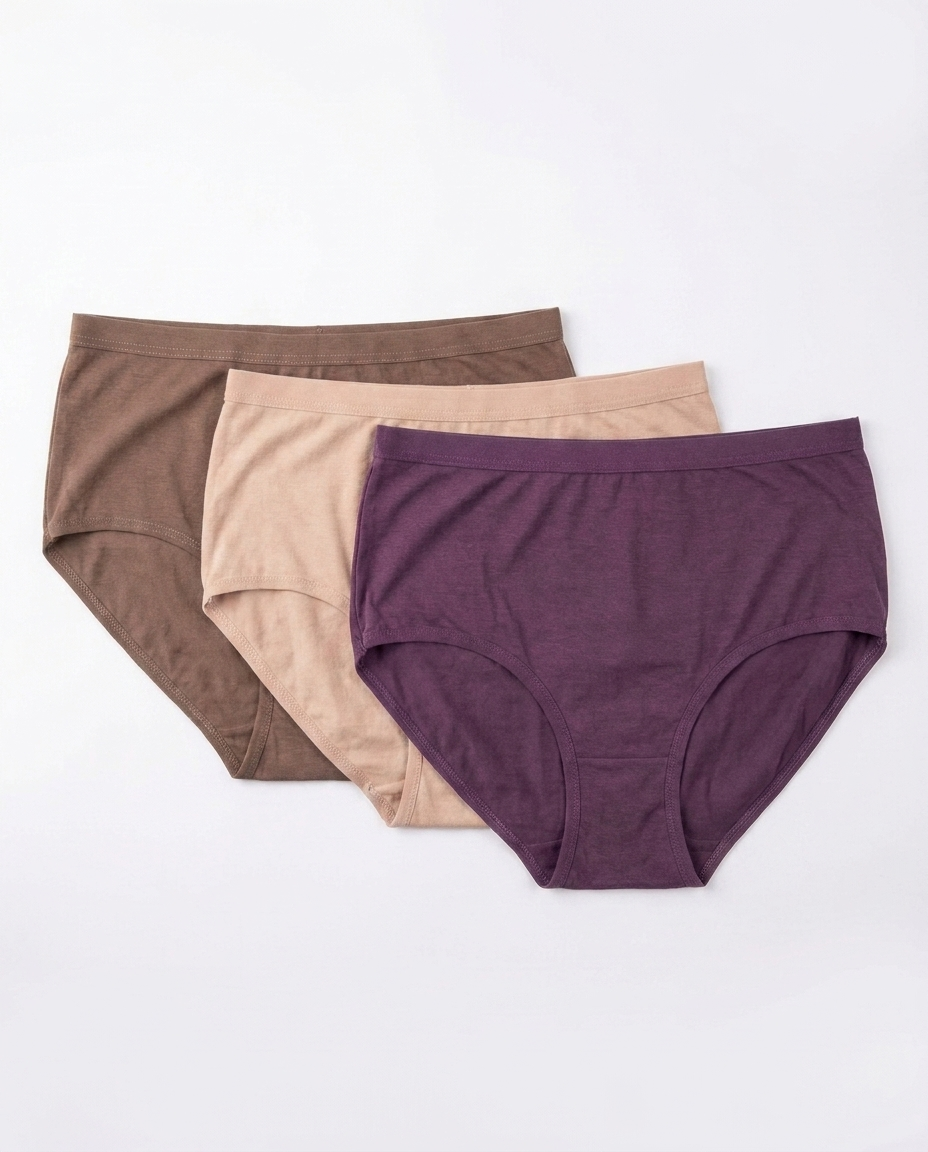 Women Underwear Basic Brief Pack 3pcs _ 3XL-4XL